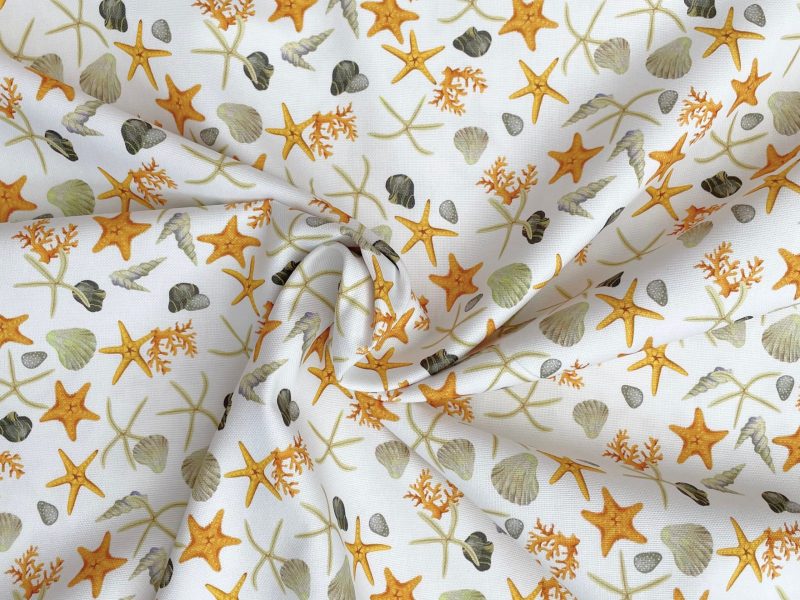 Halb Panama Strand (Seesterne, Muscheln)