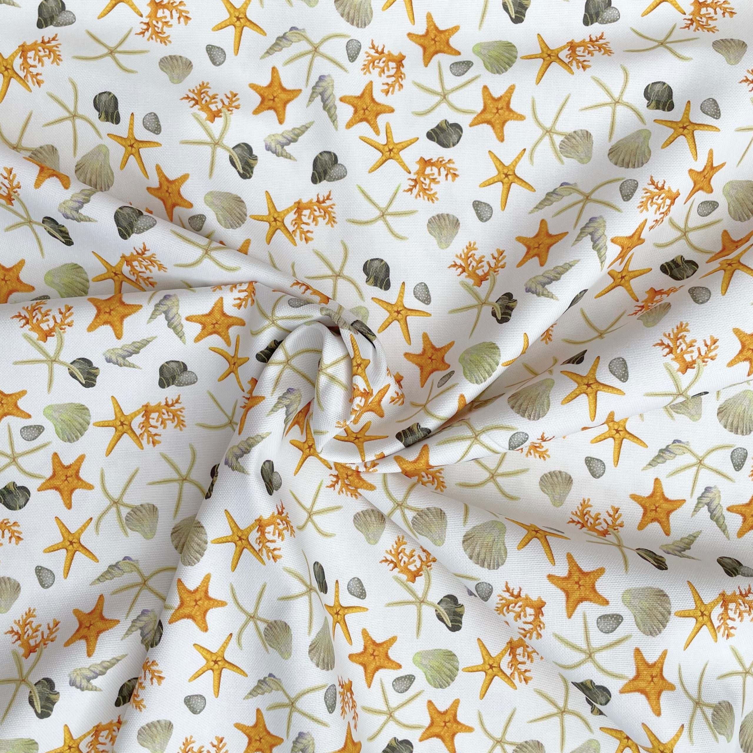 Halb Panama Strand (Seesterne, Muscheln)